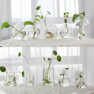 1PC Transparent Glass Vase Living Room Decorations Hydroponic Container High Borosilicate Glass Vase Bottle Home Decoration Vase