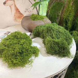 50g Fake Moss DIY Crafts Grass Artificial Moss Faux Preserved Moss Green Plants Home Room Garden Decor Mini Landscape Fake Grass