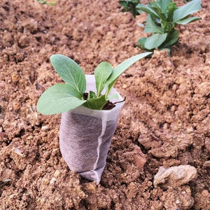 100Pcs Plant Grow Bags Nursery Bags Seeds To Sow Flower Pots Biodegradable Non-woven Fabric For Home Garden Accessories Tools