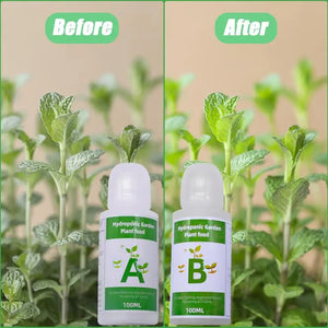 Plant Food A & B Hydroponics Supplies, Indoor Plant Fertilizer for Hydroponics Growing System, Growing System Accessories