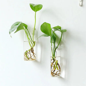 Irregular Shape Hydroponic Plants Glass Crafts Wall-mounted Fish Tank Hydroponic Vase Flower Pot Plant Container Flower Vase