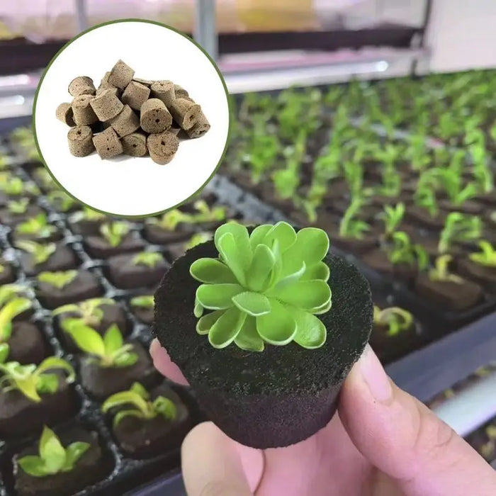 Soilless Cultivation Nursery Blocks Compressed Peat Soil Pellets Garden DIY Hydroponic Growing Block Promoting Plants Growth