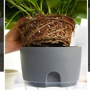 Hydroponic Flowerpot Water Container Automatic Watering Hydroponic Plant Pot Azy Self-watering Flowerpot Office Plant Flower Pot