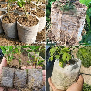 50-100PCS Biodegradable Plant Nursery Grow Bag Non-Woven Fabric Seedling Pot Container for Vegetable Flower Small to Large Pouch