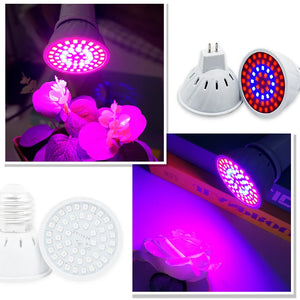 10Pcs/Lot Led Grow Lamp E27 E14 Full Spectrum Hydroponic Growth Light MR16 GU10 PhytoLamp For Indoor Plants Seedlings Succulents