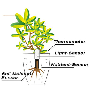 HHCC Flower Care Flora Monitor Smart Flower Monitor Plant Sensor Grass Soil Water Fertility Sensor Garden For Xiaomi Home Mijia