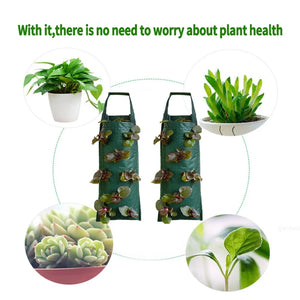 Plant Grow Bags 4/6/8/10 Holes Strawberry Potato Hanging Planting Pots Vegetable Planting Flower Planter Garden Accessories