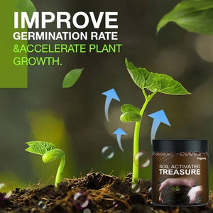 Rooting Plant Flower Activated Mineral Source Prevent Soil Activators Fertilizers Soil Treasure Activators for Garden P15F