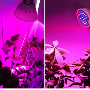 2Pcs 220v LED E27 Grow Bulb Full Spectrum Plant Light for Indoor Lighting Greenhouse Hydroponic Flowers Seedlings Phyto Lamp