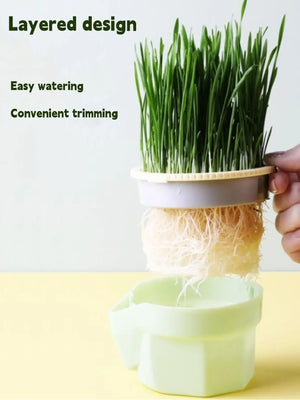 Cat Snack Cat Mint Planting Hydroponic Box Cat Grass Pot Color Contrast Hydroponic Cat Grass Box Cat Grass Planting Bowl Cat Toy