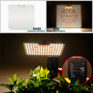 Led Grow Light With Samsung 500W 600W 800W Diode Full Spectrum Plant Growth Light for Indoor Greenhouse Hydroponic Plants