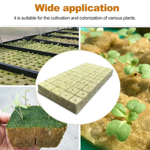 50pcs 25x25x25mm Stonewool Hydroponic Grow Media Cubes Plant Cubes Soilless Substrate Seeded Rock Wool Plug Seedling Block