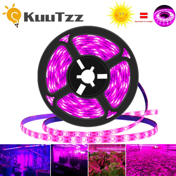 DC 5V USB LED Grow Lights 1m 2m 3m Full Spectrum Phyto Lamp Strip For Seeds Flower Greenhouse Tent Hydroponic Plants Lighting