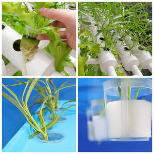 100Pcs Hydroponic Basket Plant Grow Net Nursery Pots Cup Plastic Basket Holder Garden Vegetable Soilless Grow Net Pot