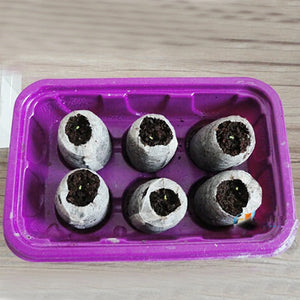 20pcs Seed Fertilizer Nutrient Peat Discs Peat Pellets Nutrient Compressed Soil Seedling Soil Block Maker For Plant Growing