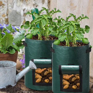 7 Gallons Potato Grow Container Bag DIY Planter PE Cloth Planting Vegetable Gardening Thicken Pot Planting Grow Bag Garden Tool