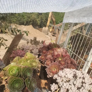 40 55% Shading White HDPE Anti-UV Sun Shade Net Gazebo Shelter Outdoor Agriculture Garden Succulent Plants Sunshade Net Cover