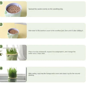 New Pet Cat Sprout Dish Growing Pot Hydroponic Plant Cat Grass Germination Digestion Starter Dish Greenhouse Grow