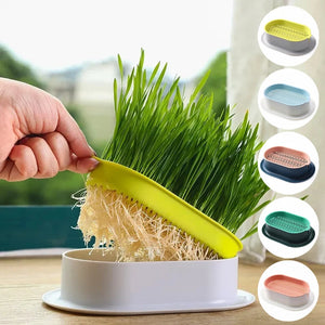 5Color—Pet Cat Sprout Dish Growing Pot Hydroponic Plant Pot  Cat Grass Germination Digestion Starter Dish Greenhouse Grow Box