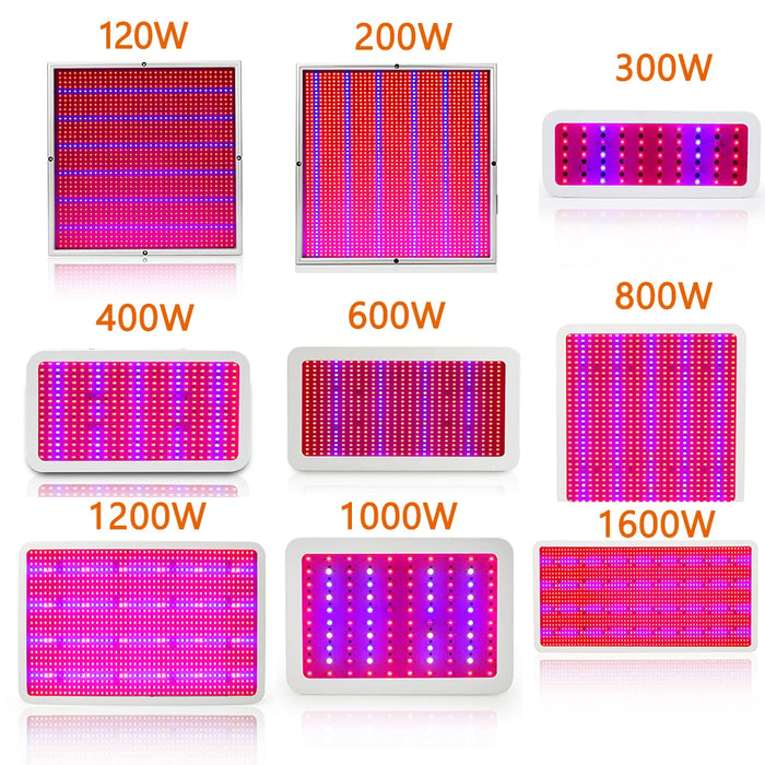 1600W 1200W 1000W 800W 600W 300W High Power Full Spectrum LED Plant Grow Light Lamps For Flower Veg Hydroponics System