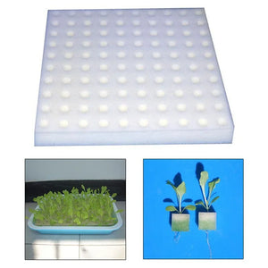 100 pieces White Seedling Sponge Soilless Hydroponic Vegetables Cultivation Plant Nursery Pots Seedlings Cloning Collar Garden