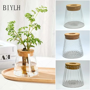 Home Decor Glass Vase Hydroponic Plant Volcano Small Vase Nordic Tabletop Simple Green Plant Mini Bottle With  Tray Flower Vases