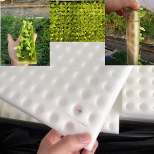 100 pieces White Seedling Sponge Soilless Hydroponic Vegetables Cultivation Plant Nursery Pots Seedlings Cloning Collar Garden