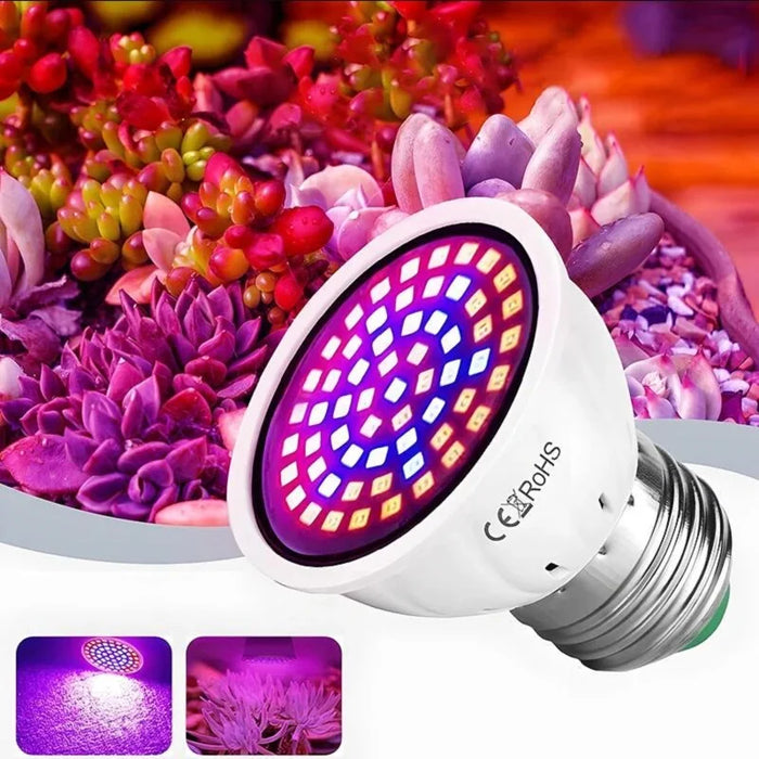 LED Plant Grow Light Cup E27 E14 Plant Indoor Fill Light Cup 220V Hydroponic Full Spectrum Bulb Purple Plant Growth Lamp Cup Lam