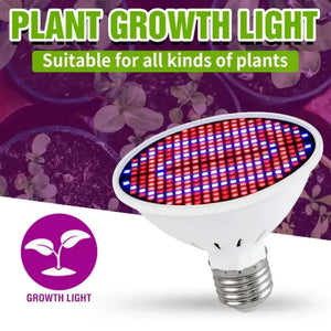 PaaMaa LED Grow Light E27 Full Spectrum Phyto Lamp Plant Bulb Growth Light Hydroponics 126 200 300 Led Greenhouse Lamp Grow Tent