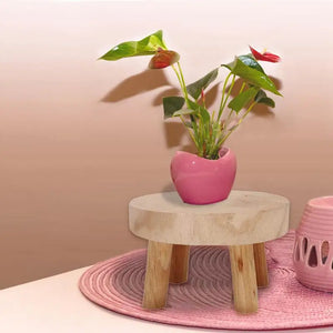 Solid Wood Round Bench Flower Pot Holder Plant and Succulent Flower Pot Base Display Stand Stool Home Garden Patio Shelf