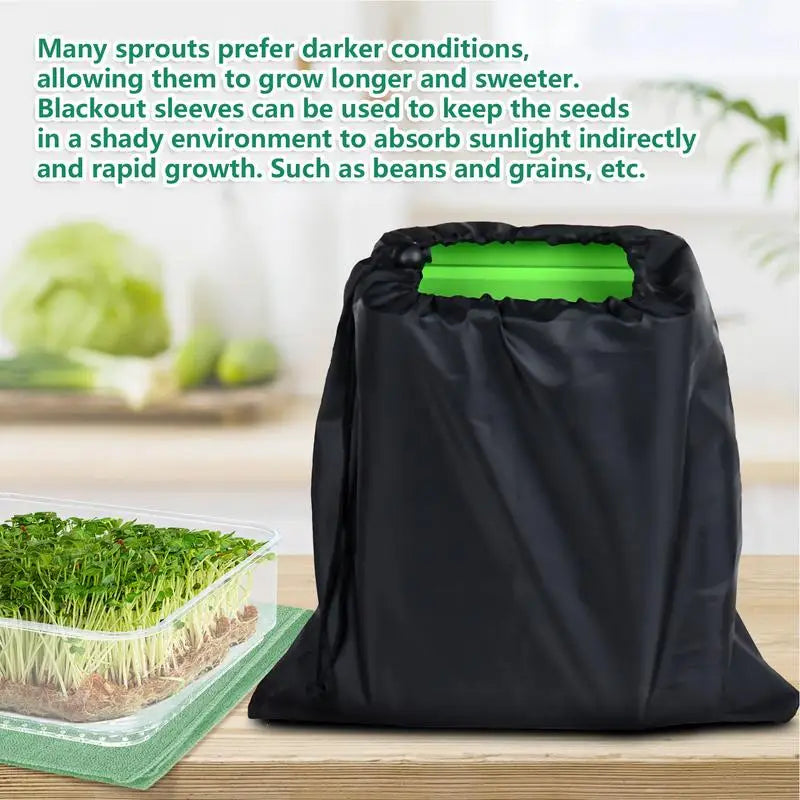 Germination Tray Plant Seeds Dish Garden Soilless Hydroponics Growing ...