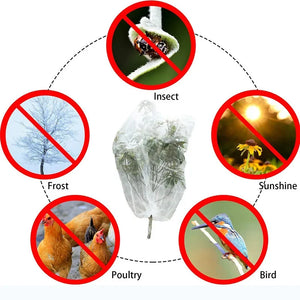 Plant Protection Bag Bonsai Tree Fruit Vegetable Cover Bug Net Pest Control Anti-Bird Garden Orchard Farm Insect Net Garden Tool