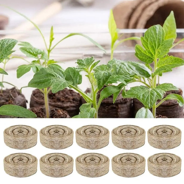 10 Peat Pellets 30mm Soil Seeds Starting Soil Pellet Fiber Soil Indoor Seed Starter Kit For Garden Or Planter Pot Grow Herb