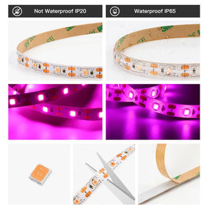 5V USB Led Plant Grow Light Full Spectrum Phyto Lamp 1m 2m 3m Strip For Seeds Flower Greenhouse Tent Hydroponic Plants Lighting