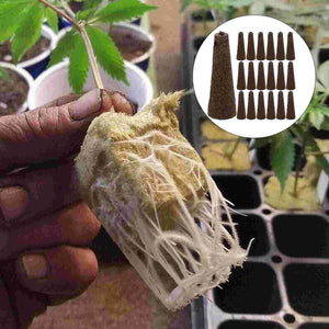 50pcs Hydroponic Intelligent Planter Special Sponge Replacement Grow Sponges Cultivator Hydroponics