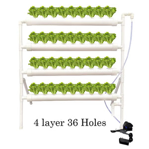 36 Sites Plant Hydroponic Systems Grow Kit Nursery Pots Anti Pest Soilless Cultivation Indoor Garden Culture Planter Vegetables