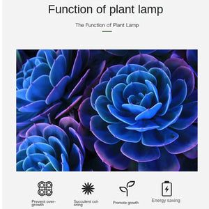 VnnZzo LED Full Spectrum Plant Lamp USB Grow Light Flexible LED Growth Light Phyto Lamp Flower Seedling Hydroponic Lighting