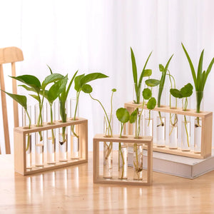 Simple Nordic Test Tube Glass Vase Decoration Creative Wooden Frame Hydroponic Plant Container Home Decoration