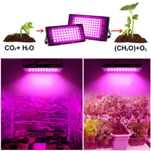 Led Grow Light Full Spectrum Phyto Lamp For Plant Light 300W Hydroponics Growing System Greenhouse Flower Seeds Grow Lighting