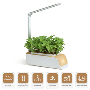 Hydroponics Growing System Family Farm Nursery Tray Pot Indoor Herb Led Grow Lights Automatic Timer Smart Garden Planter