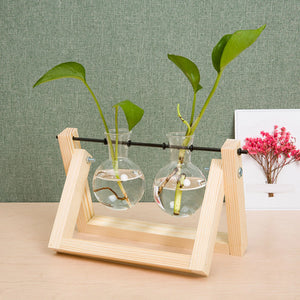 Wall Hanging Planter Terrarium for Hydroponic Plants Propagation Station Flower Pot Bulb Glass Vase for Office Home Decoration