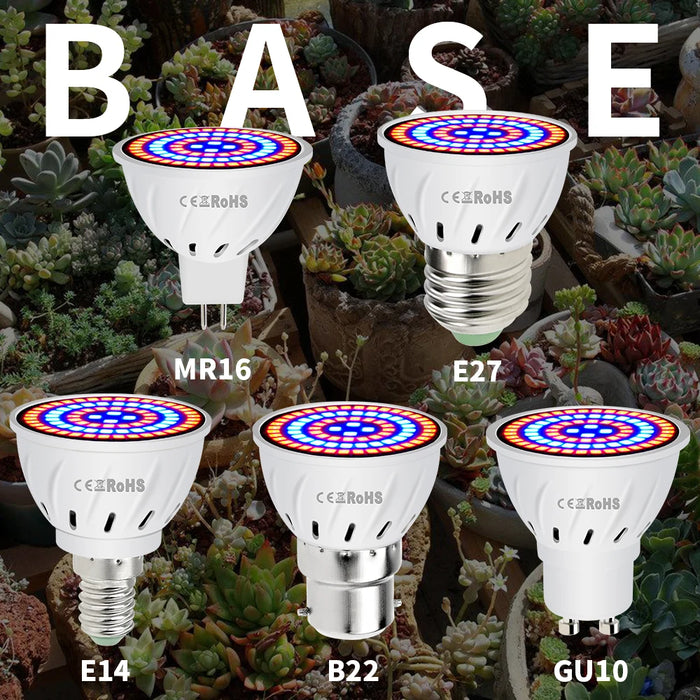 Phyto Led B22 Hydroponic Growth Light E27 Led Grow Bulb MR16 Full Spectrum 220V UV Lamp Plant E14 Flower Seedling Fitolamp GU10