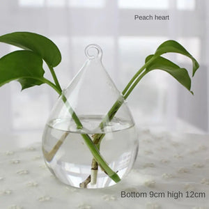 1PC Transparent Glass Vase Living Room Decorations Hydroponic Container High Borosilicate Glass Vase Bottle Home Decoration Vase