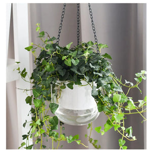 Hanging Flowerpot Self Absorbing Water Hanging Planter Thickened Plastic Planter Hydroponic Soil Cultivation Lazy Flower Pot