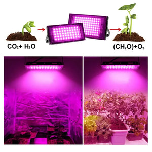 Full Spectrum LED Grow Light Phyto Lamp AC 220V 50W 100W 200W 300W With EU Plug For Greenhouse Hydroponic Plant Growth Lighting