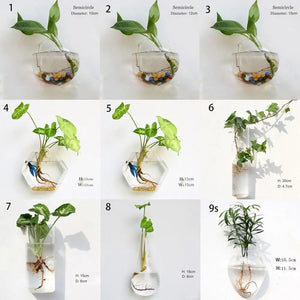 Irregular Shape Hydroponic Plants Glass Crafts Wall-mounted Fish Tank Hydroponic Vase Flower Pot Plant Container Flower Vase