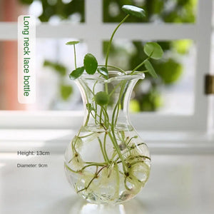 1PC Transparent Glass Vase Living Room Decorations Hydroponic Container High Borosilicate Glass Vase Bottle Home Decoration Vase