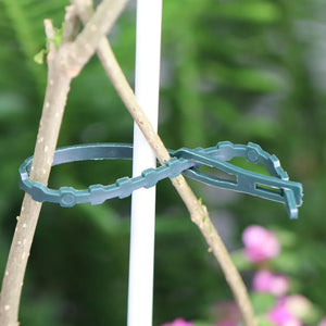 50/100PCS Plastic Plant Ties Reusable Fastener Greenhouse Grow Kit For Garden Tree Tomato Vines Climbing Multi-Function Clip