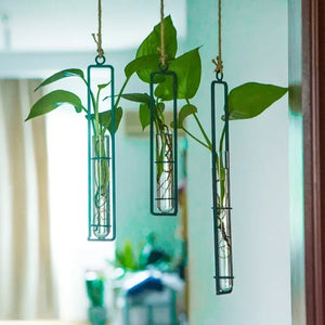 Creative Iron Art Glass Vase Hemp Rope Pendant Living Room Wall Hanging Hydroponic Plant Container Hanging Wall Decoration