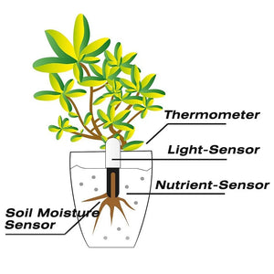 HHCC Flower Flora care Plant Soil Tester Monitor Soil Water Light Smart Tester Digital Detect Sensor Garden APP Remote Viewing